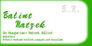 balint matzek business card