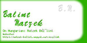 balint matzek business card